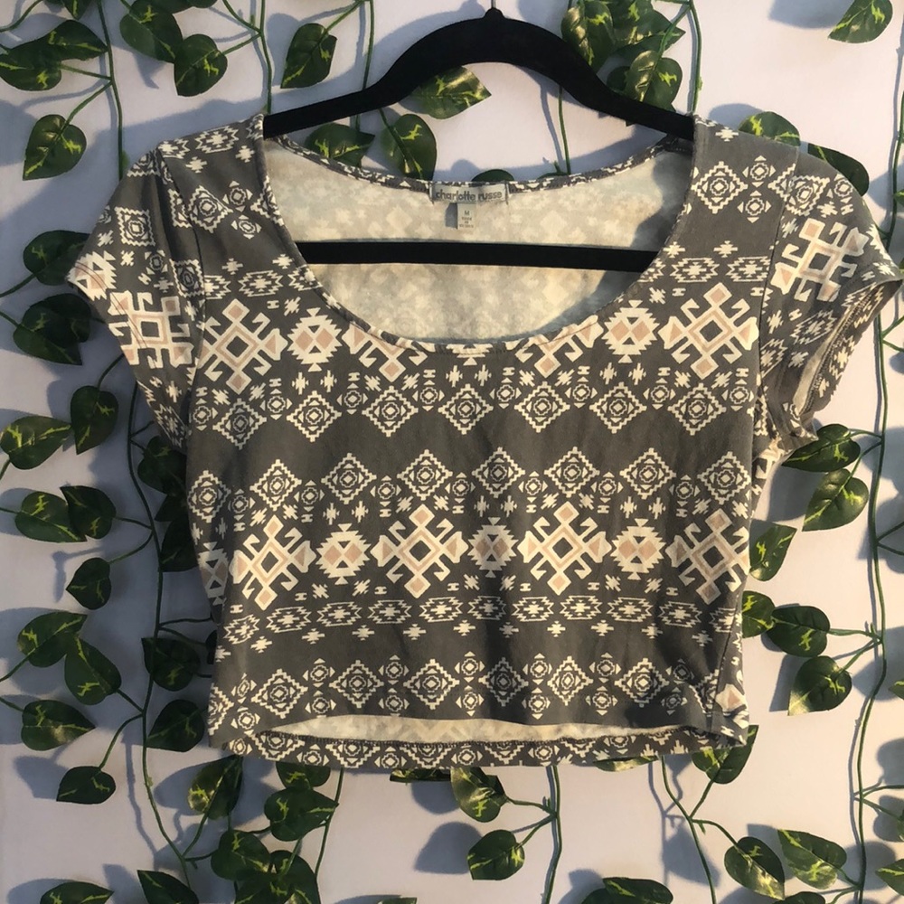 Charlotte Russe Crop Top